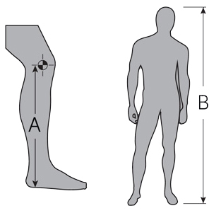 Bauer Leg Pad Sizing Chart